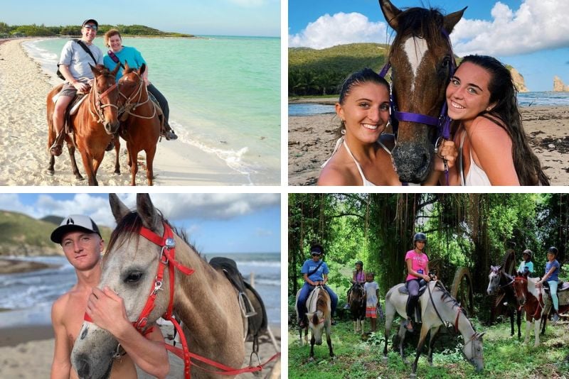 horse riding in Saint Lucia