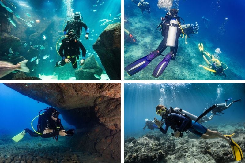 scuba diving in Madeira Island