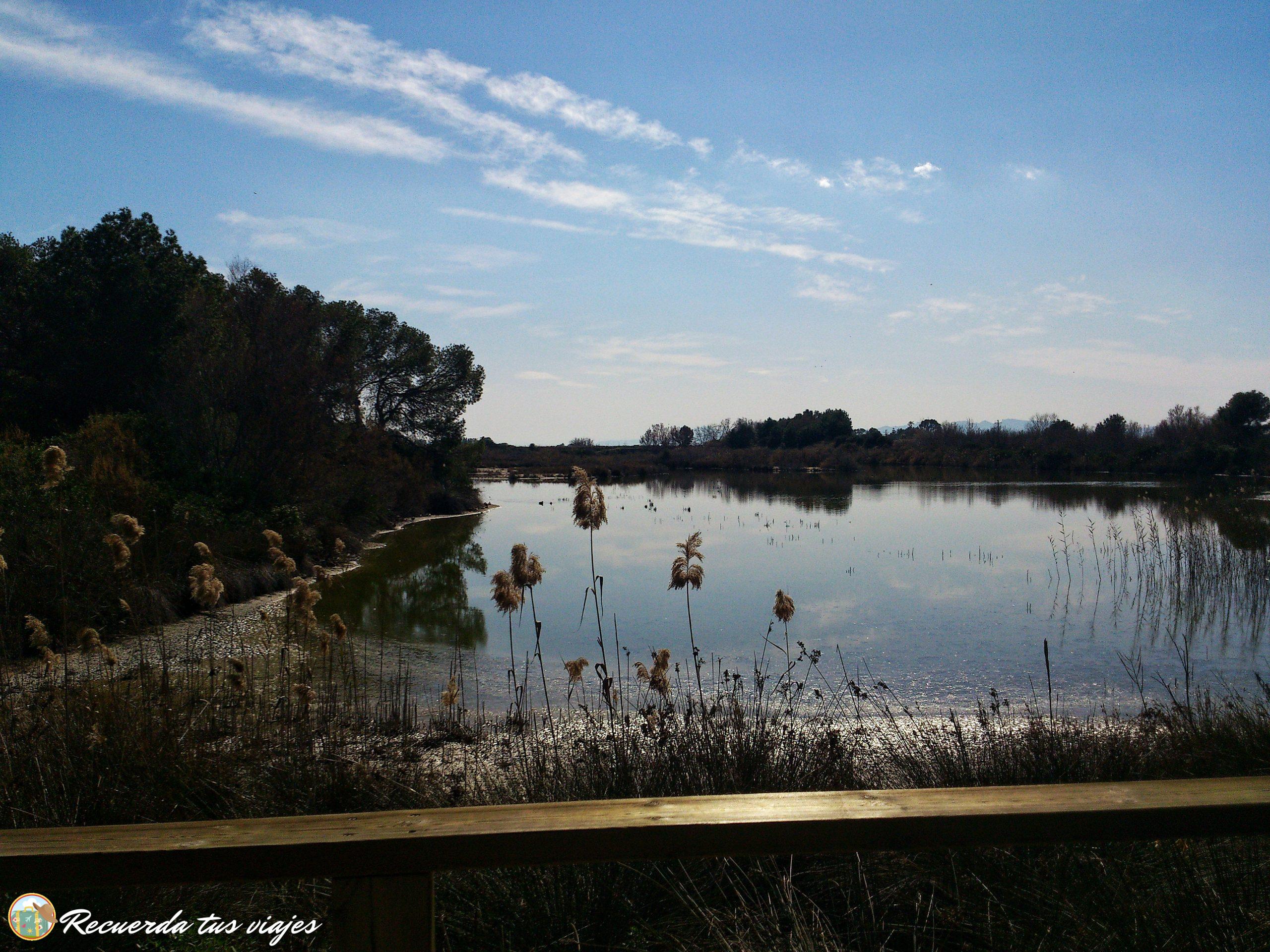 Mirador de avistamiento de pájaros