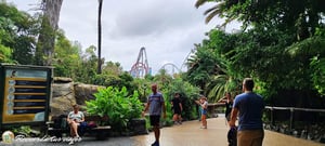 Lee más sobre el artículo Todas las entradas de PortAventura World