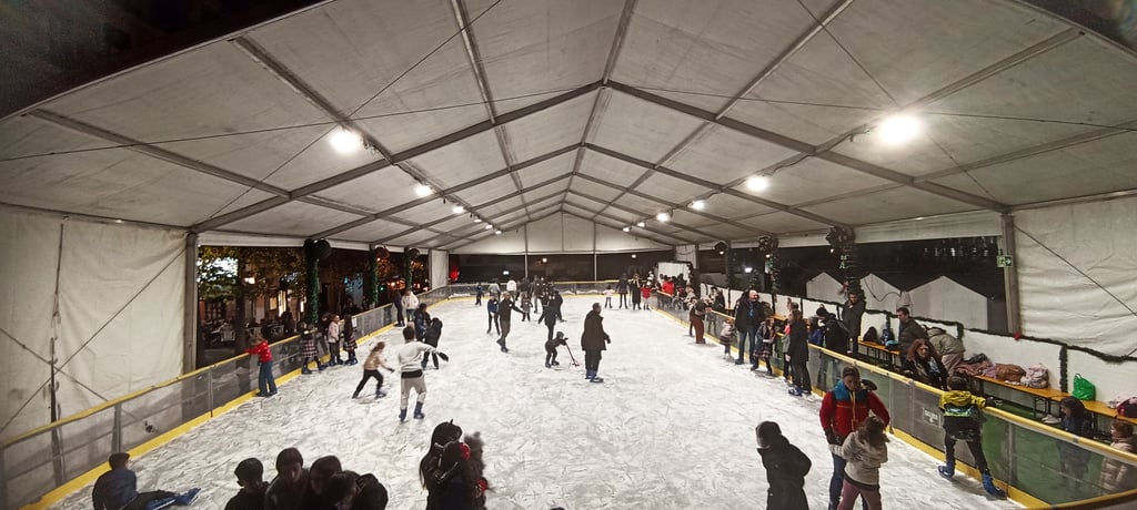 Pista de hielo Juan Goytisolo