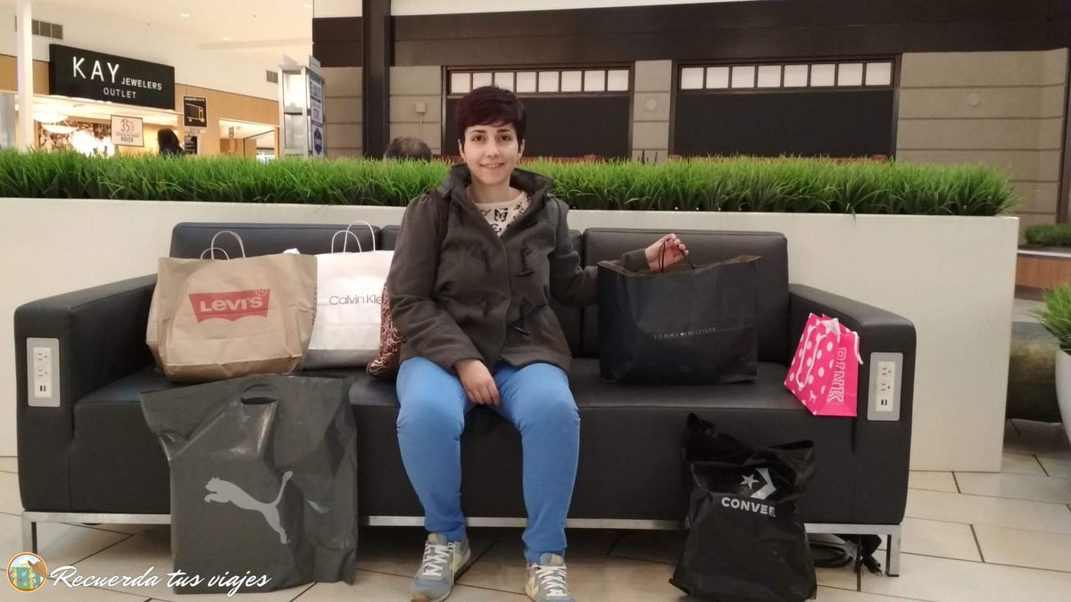 Lee más sobre el artículo Dónde hacer compras baratas en Nueva York