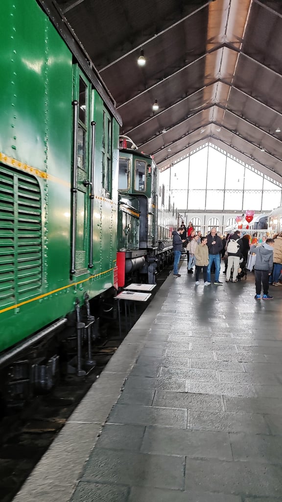 Gente paseando entre los trenes