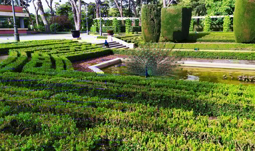 Jardines de Cecilio Rodríguez - Ver el Parque del Retiro de Madrid en medio día