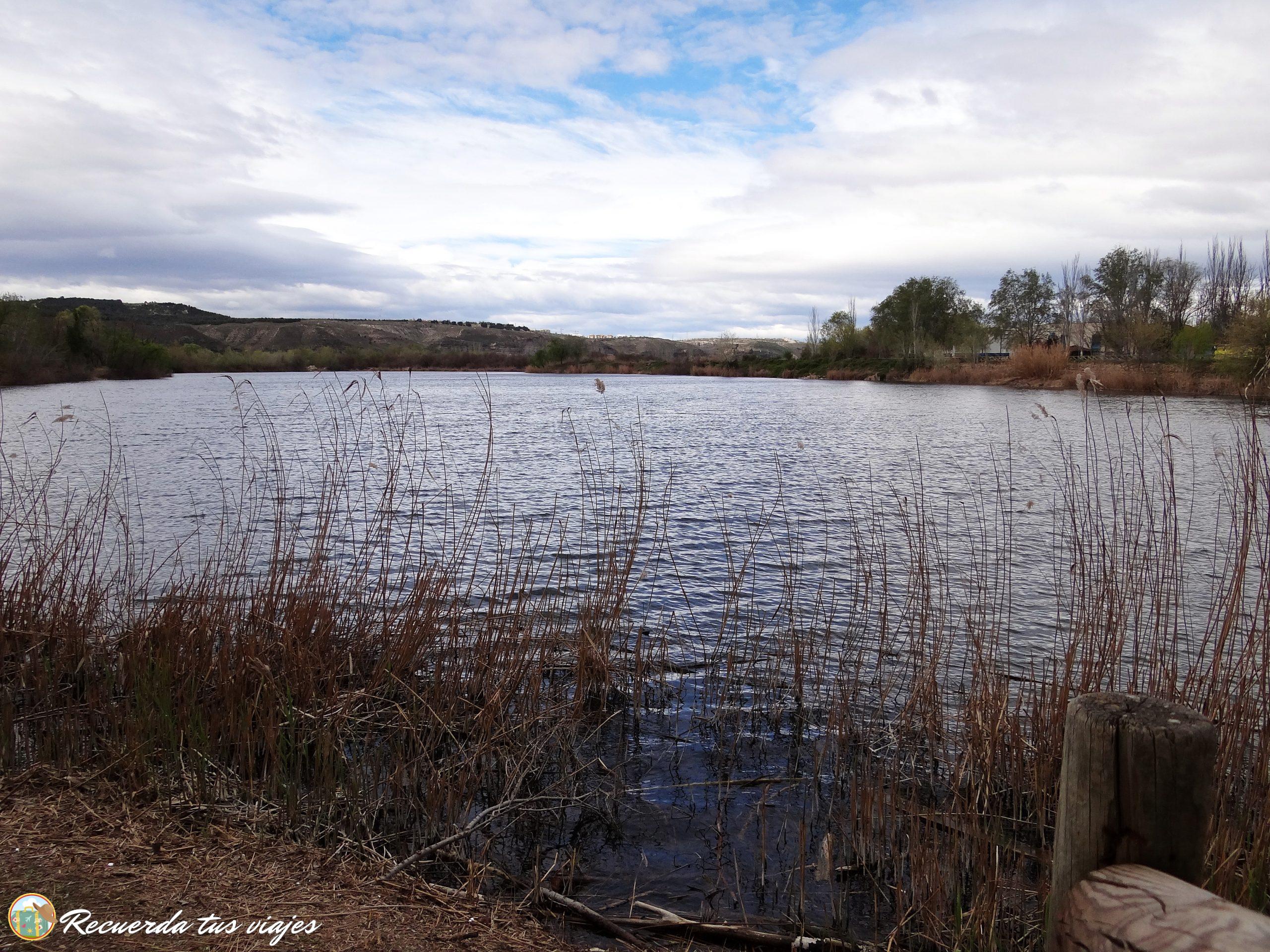 Lagunas de Velilla de San Antonio - Laguna "El Raso"