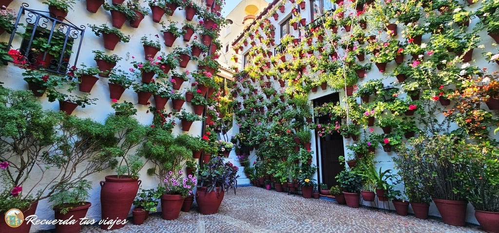 Patio cordobés - Escapada de 2 días a Córdoba