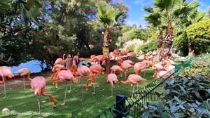 Lee más sobre el artículo Qué ver en 1 día en Faunia