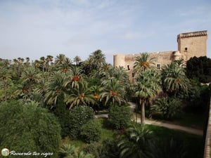 Lee más sobre el artículo Visitar Elche en 1 día en familia