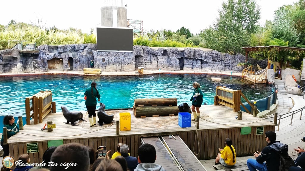 Osos y leones marinos - Qué ver en 1 día en Faunia