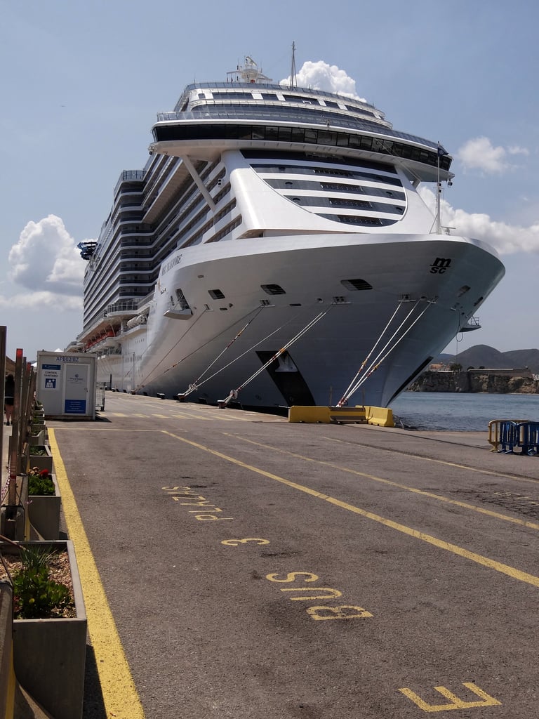 Vista de la proa del MSC Seashore - Preparar un viaje en un crucero