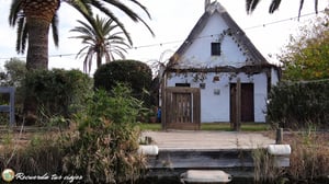 Lee más sobre el artículo Visitar la Albufera de Valencia