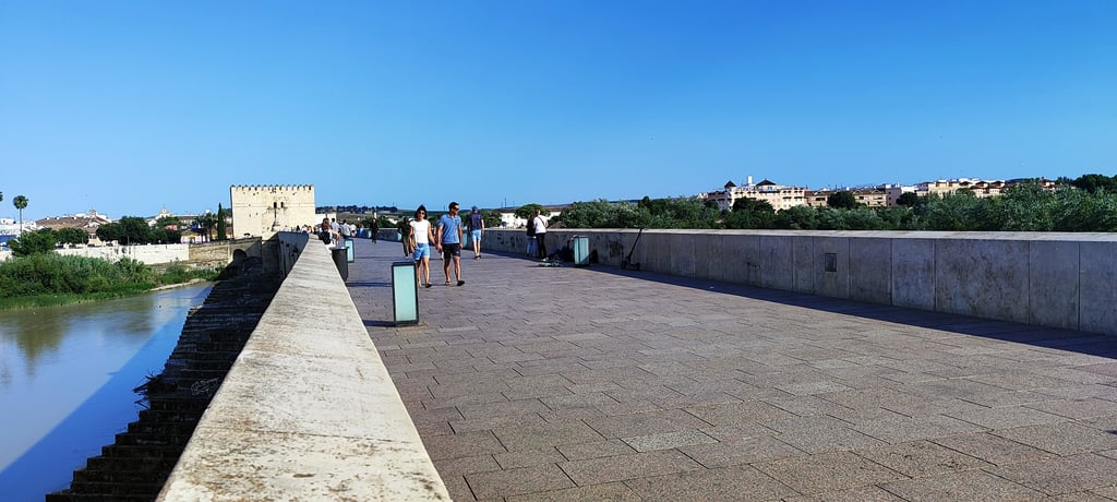 Puente Romano y Torre de Calahorra