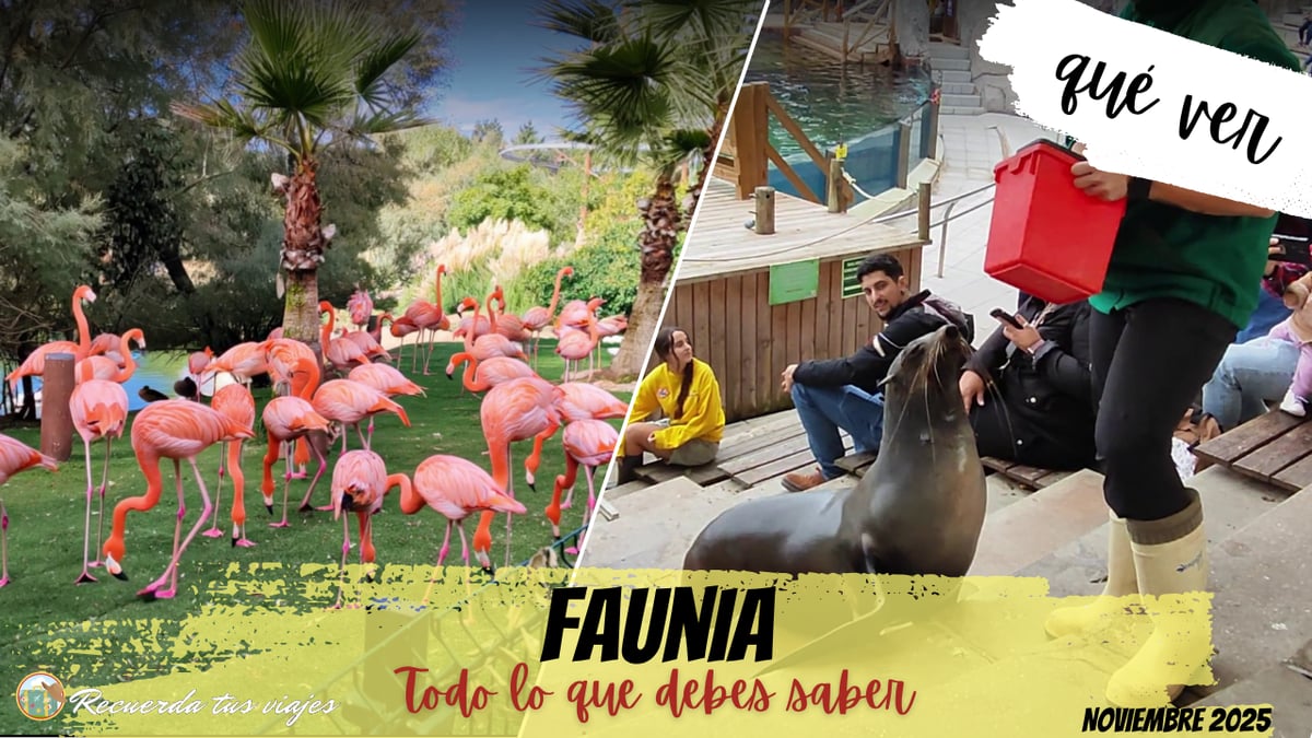 Lee más sobre el artículo Faunia ¡Más que un zoo!