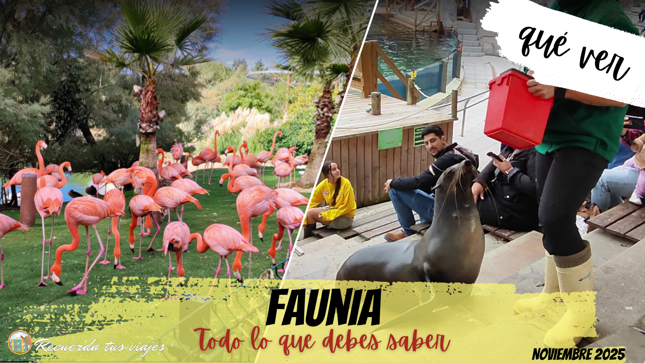 Lee más sobre el artículo Faunia ¡Más que un zoo!