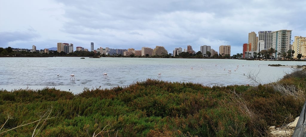 Las salinas - Qué ver en Calpe en 1 día