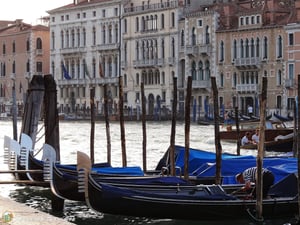 Lee más sobre el artículo Qué ver en Venecia en 3 días