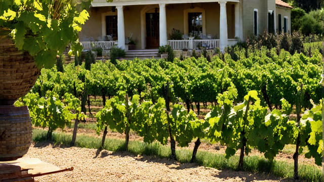 Home Winemaking