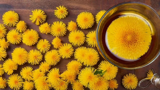 How To Make Wine From Dandelions