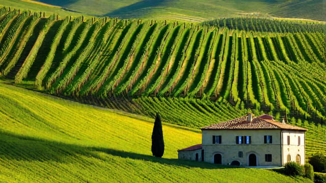 How To Pronounce Sangiovese Wine