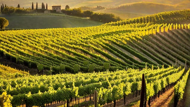 Is Chianti Red Or White