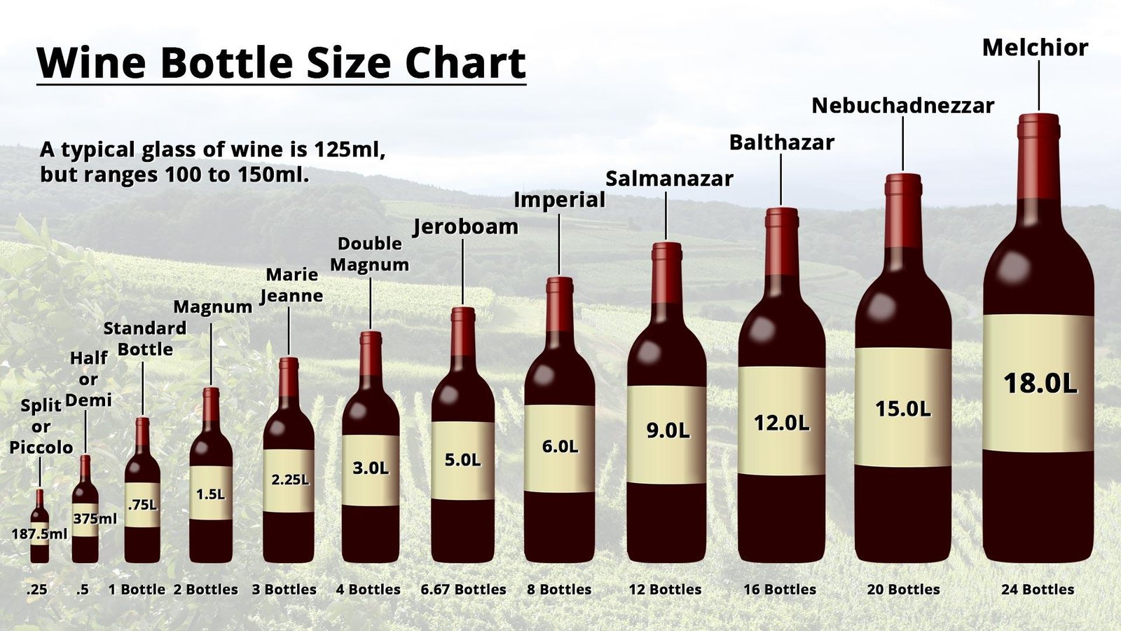 wine bottle sizing chart