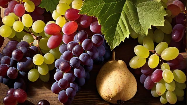 De Long's Wine Grape Varietal Table