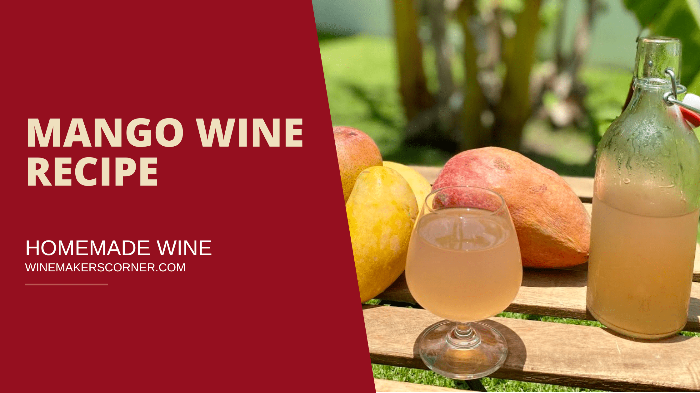 mango wine recipe