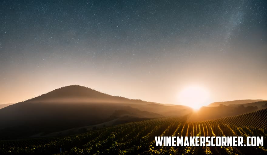 Wine Hydrometer Reading Too High