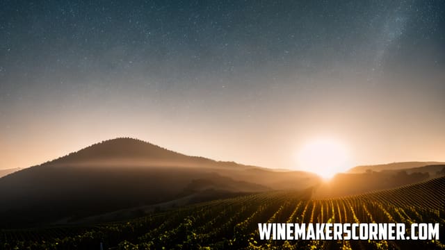 Wine Hydrometer Reading Too High