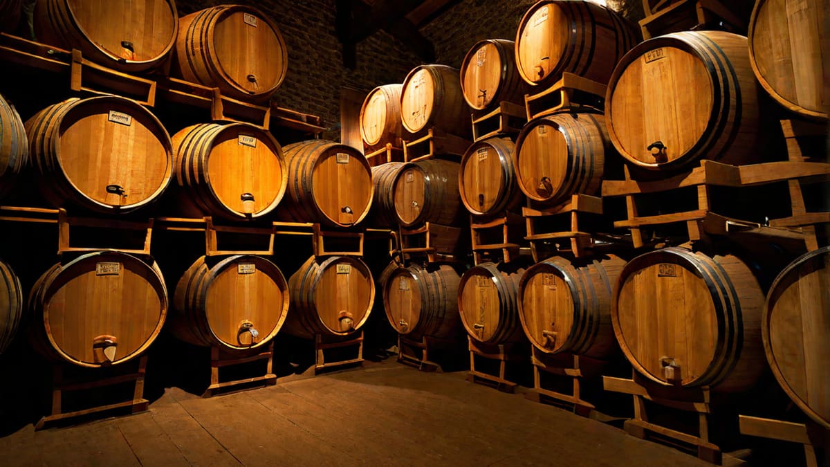 How Tall Are Wine Barrels