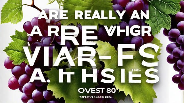 Are White Vinegar And Wine Vinegar The Same