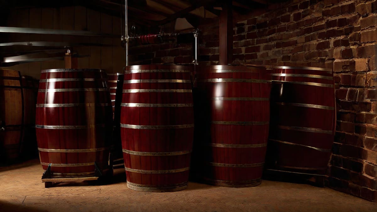 1 Gallon Wine Recipe