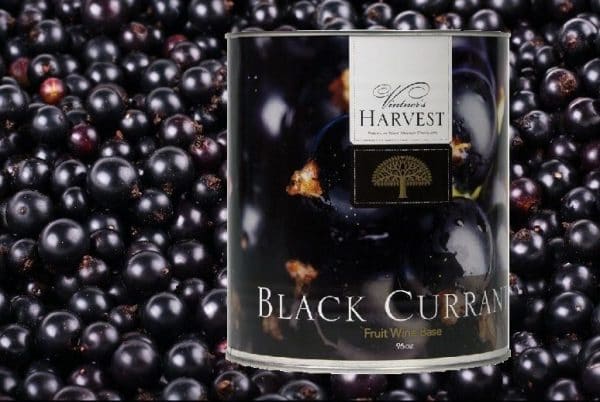 best fruit wine base