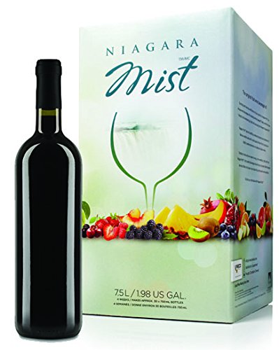Best Raspberry Wine Kits