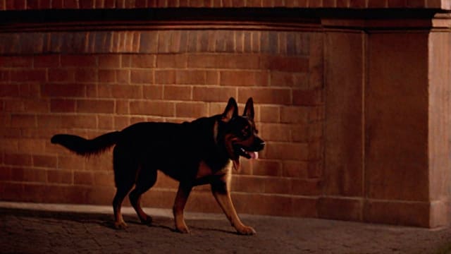Where Can I Watch Turner And Hooch For Free