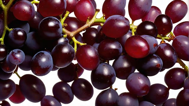 Is Merlot Red Or White
