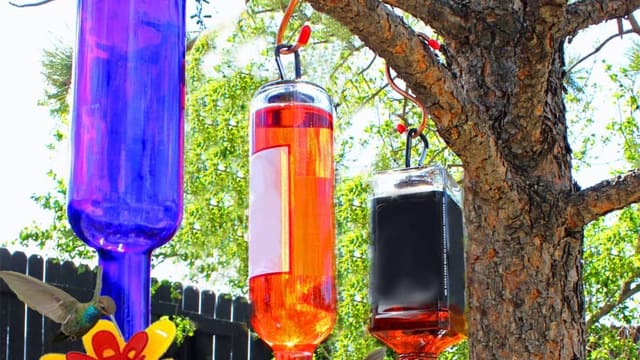 Wine Bottle Hummingbird Feeder Kit