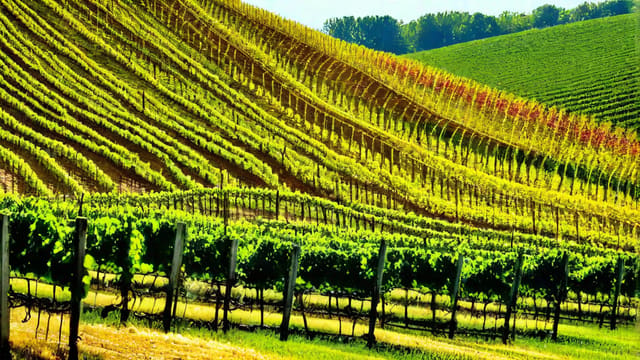 Can I Buy Wine On Sunday In Ohio
