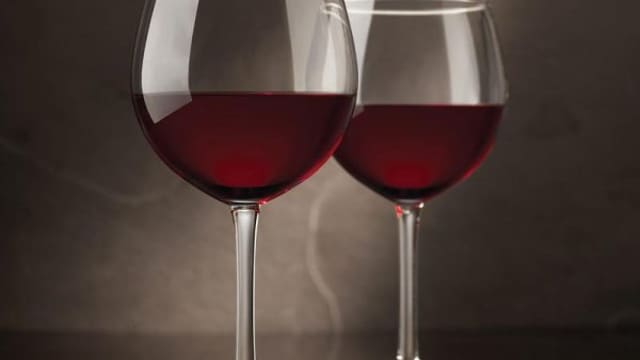 best merlot wine kits