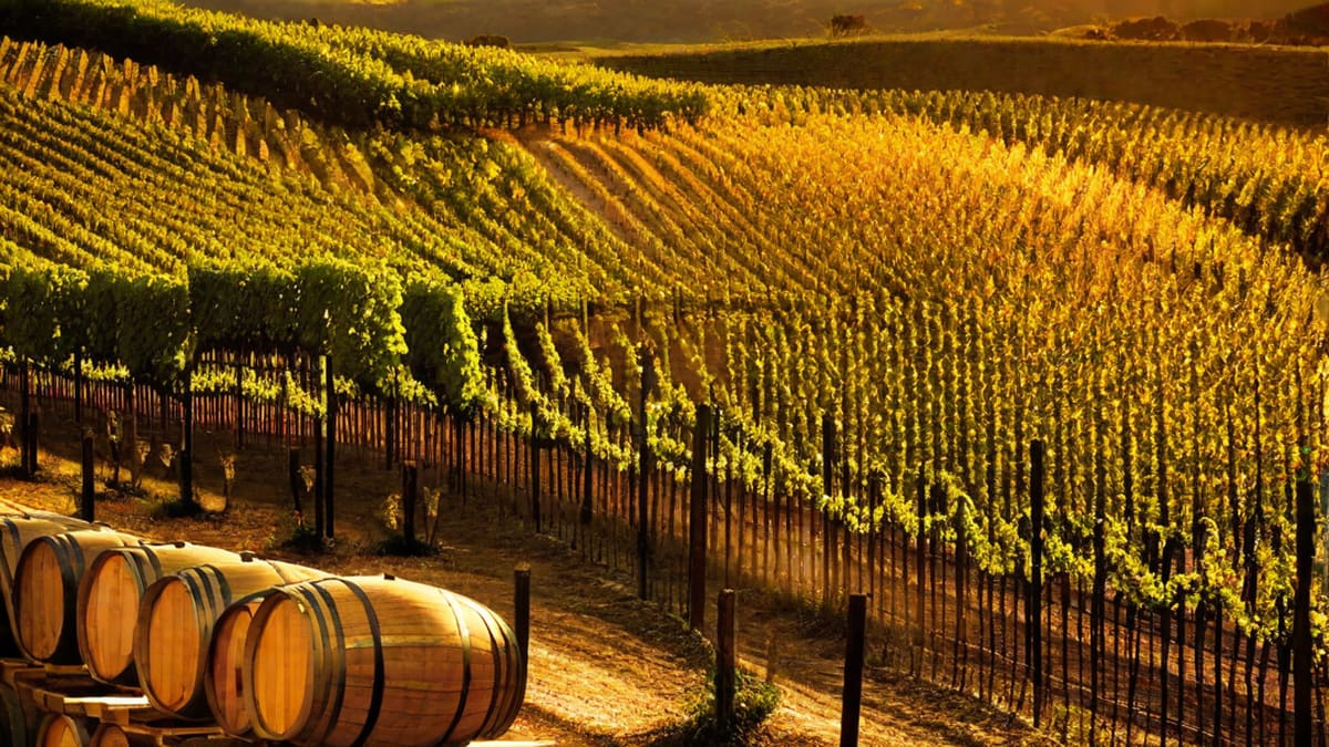 What Kind Of Wine Is Sherry