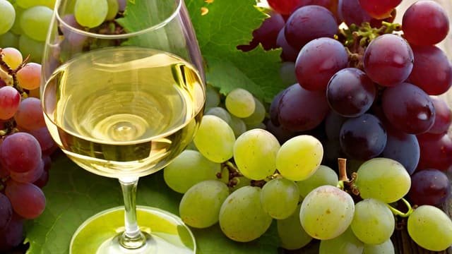 Does White Wine Lower Blood Pressure