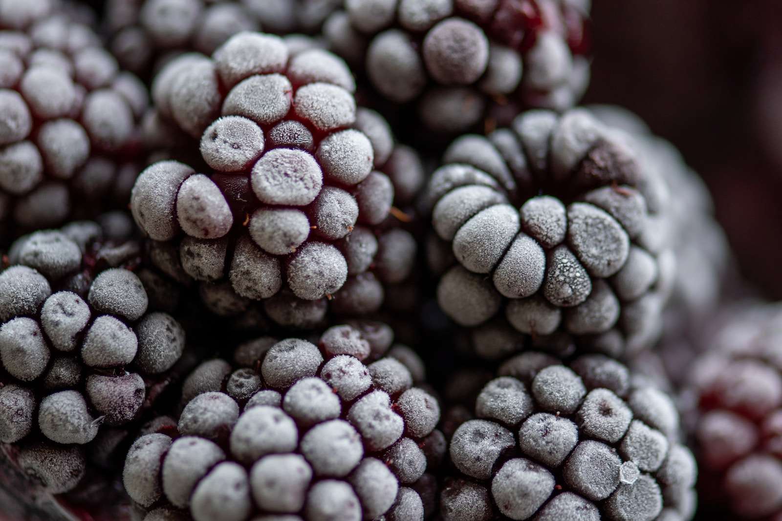 frozen blackberries