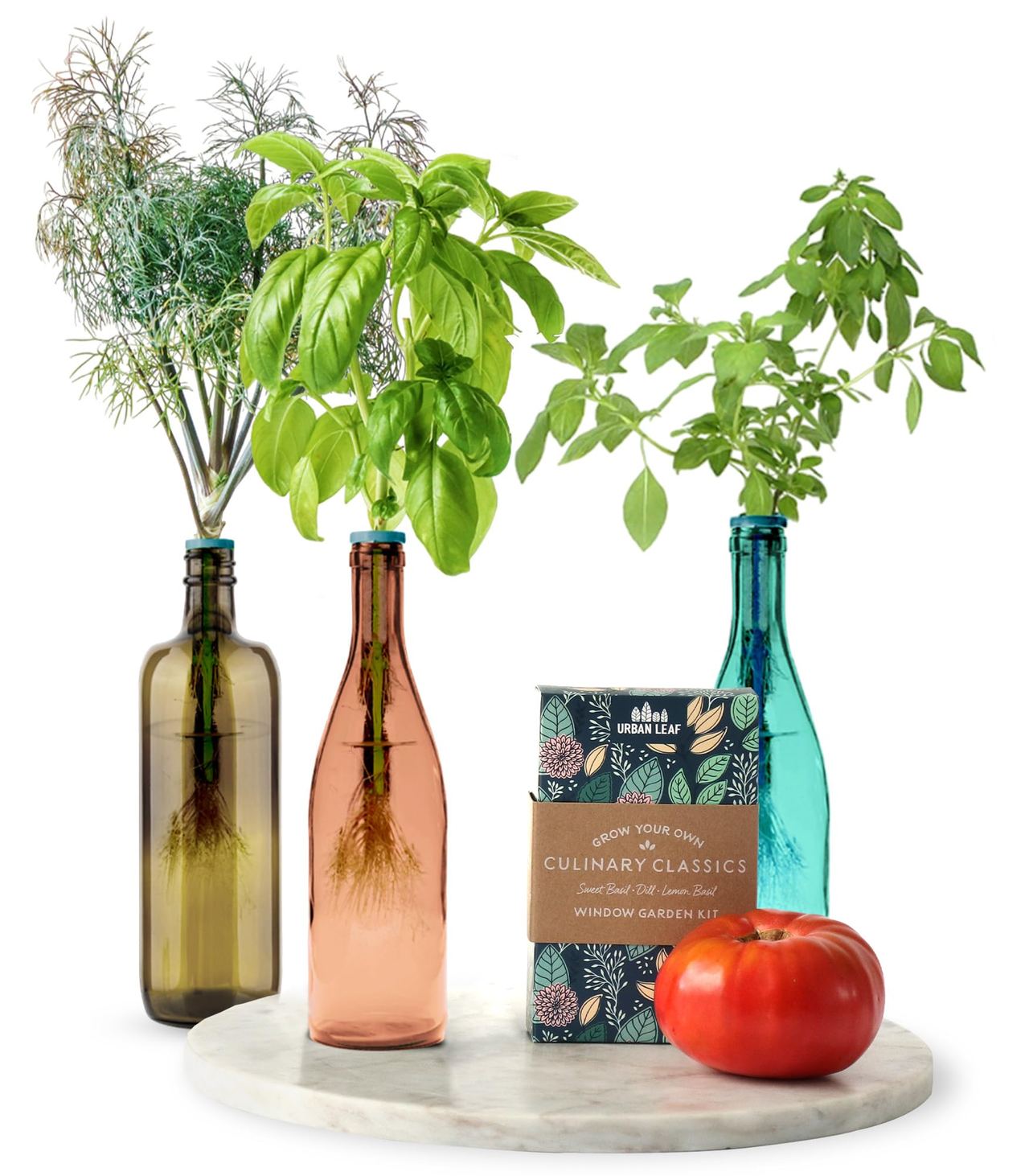 Wine Bottle Garden Kit