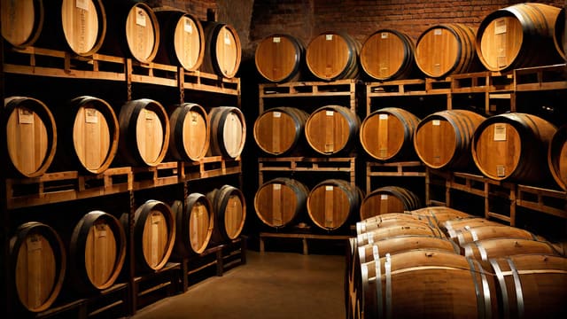 What Makes A Good Wine
