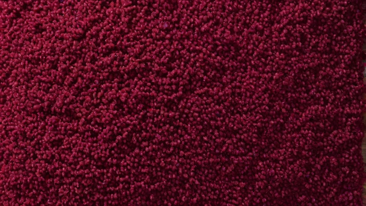How To Get Wine Stain Out Of Carpet