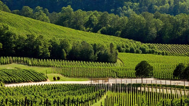 What Time Can I Buy Wine On Sunday In Nc