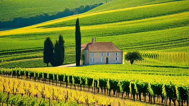 Where Is The Champagne Region In France