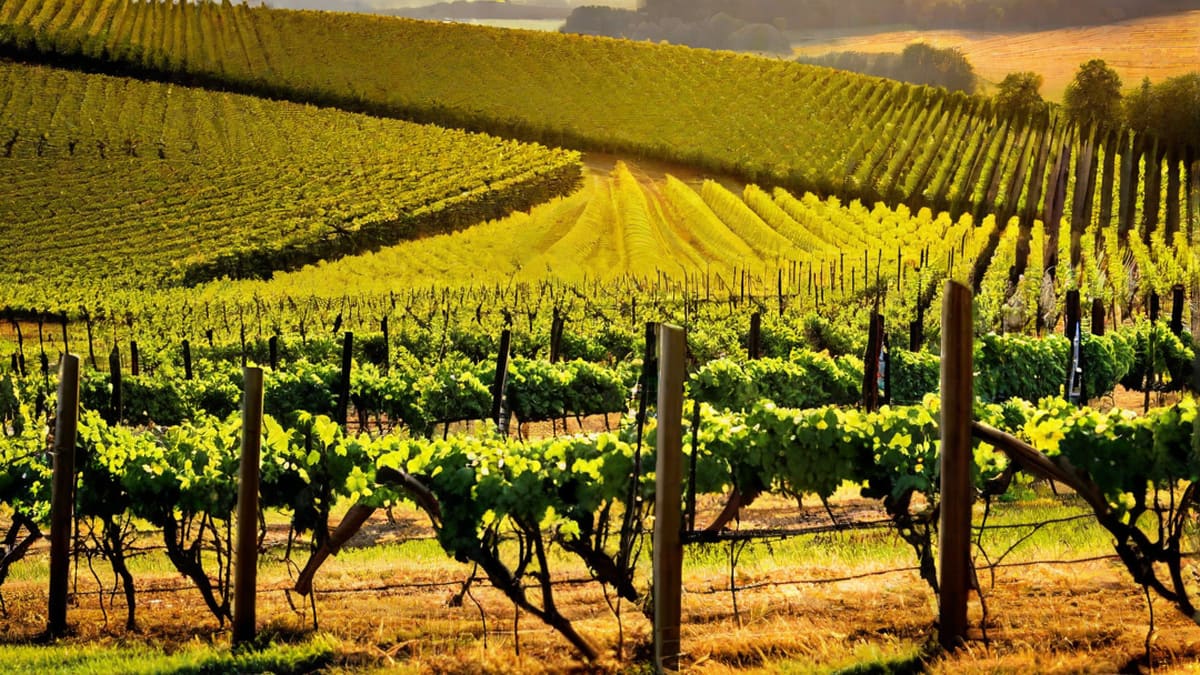 Does Box Wine Need To Be Refrigerated
