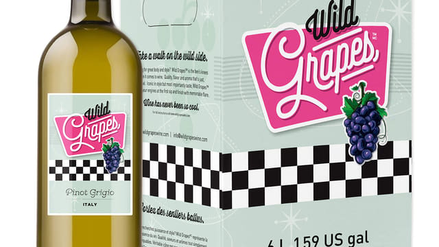 Wild Grapes Wine Kit Review