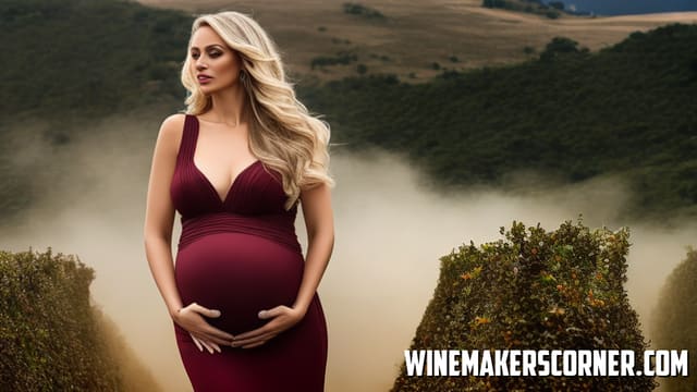 Can A Woman Drink Wine When Pregnant